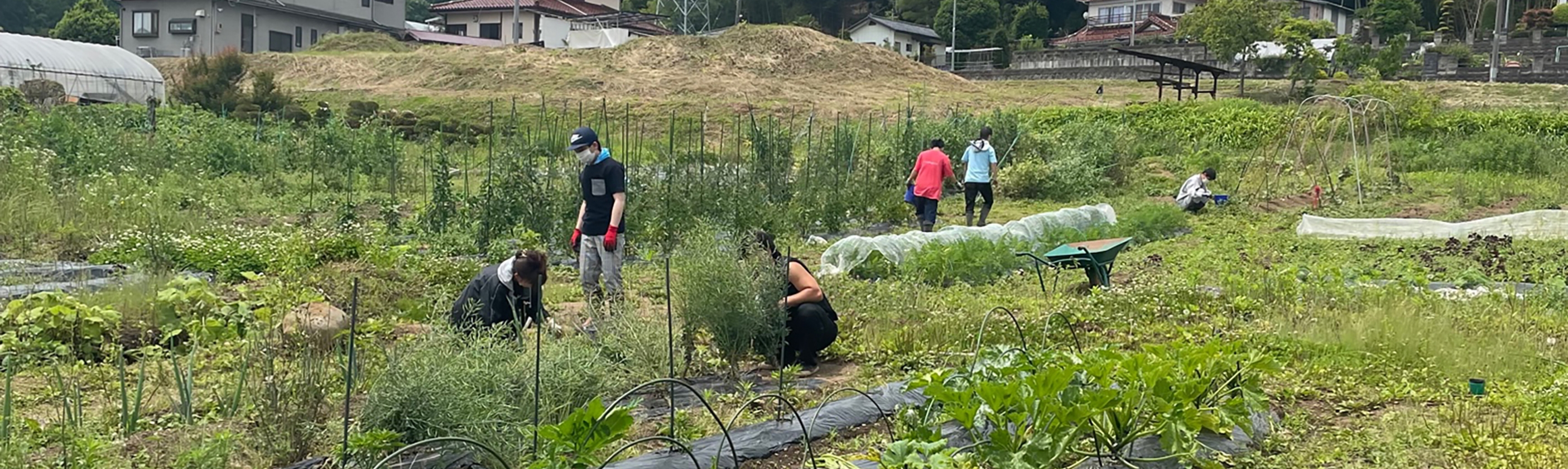 生活介護