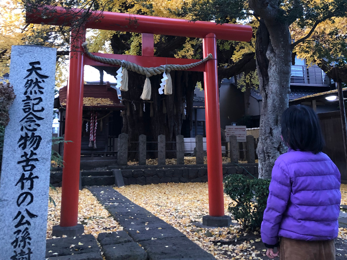 自然との対話で命の大切さを知る