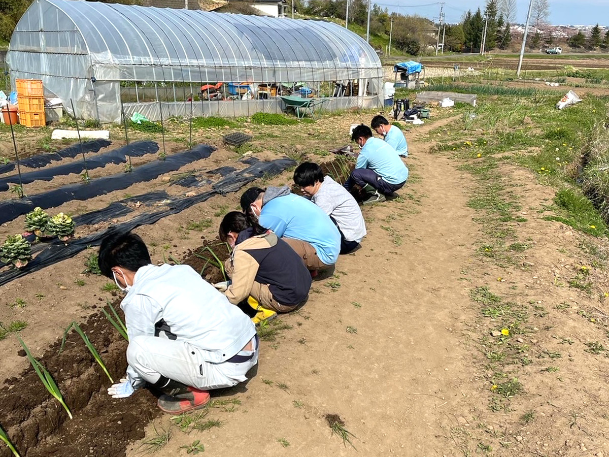 【就労支援B型】農業を通じて働く素晴らしさを体験