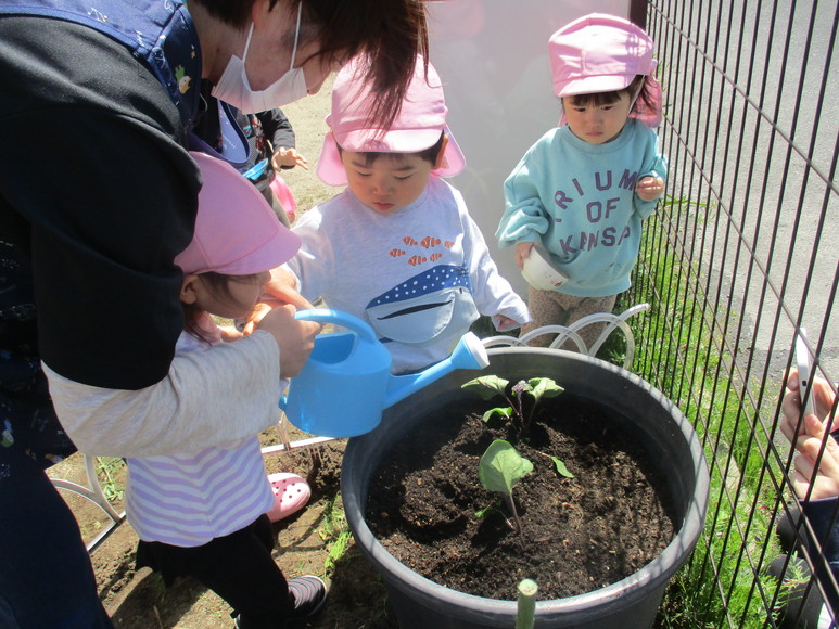 富谷ひよこの里『野菜を植えました🍅』