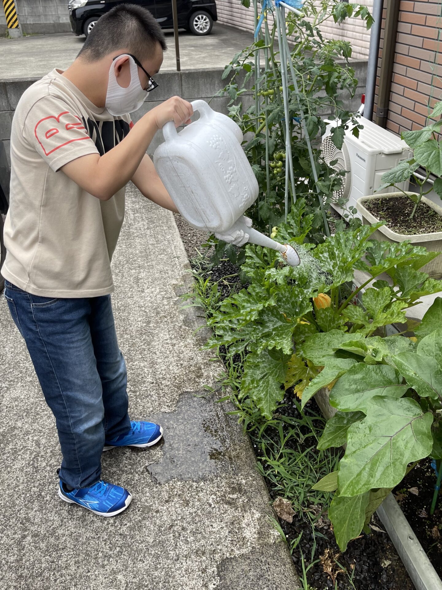 すてっぷ『ガーデニング🌻』