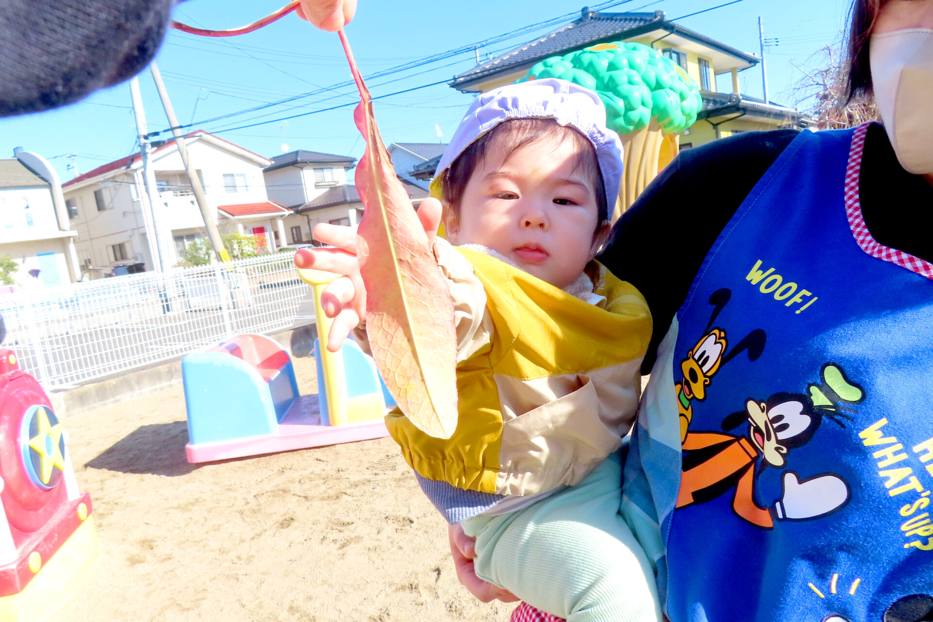 ひよこ園『みらくる組の活動の様子🎵』