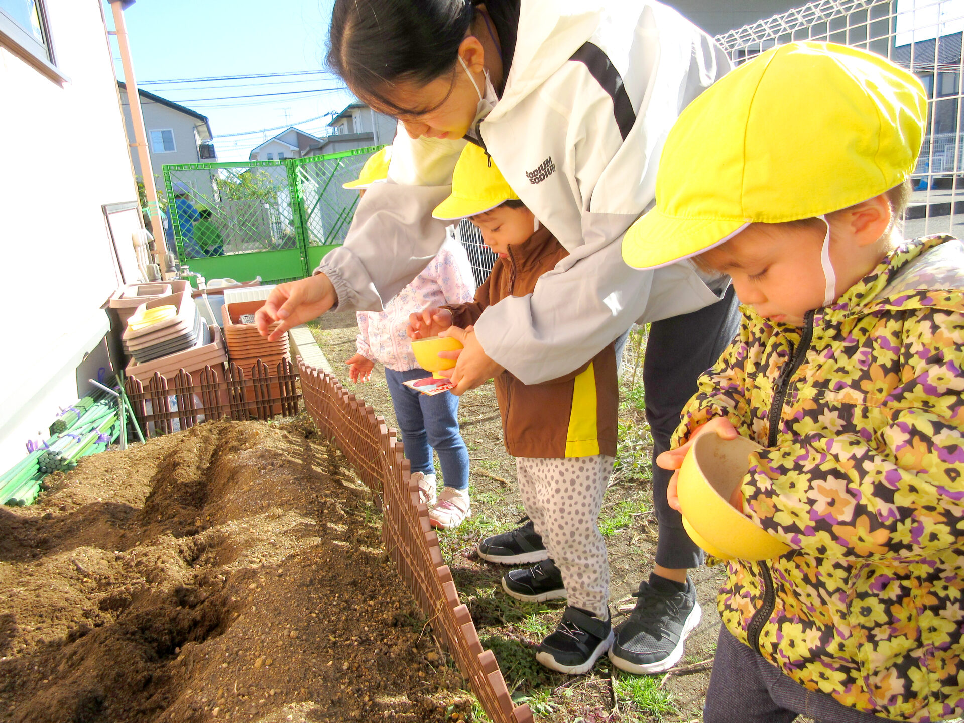 ひよこ園『ぱわふる組　食育「カブの種を植えよう！」』