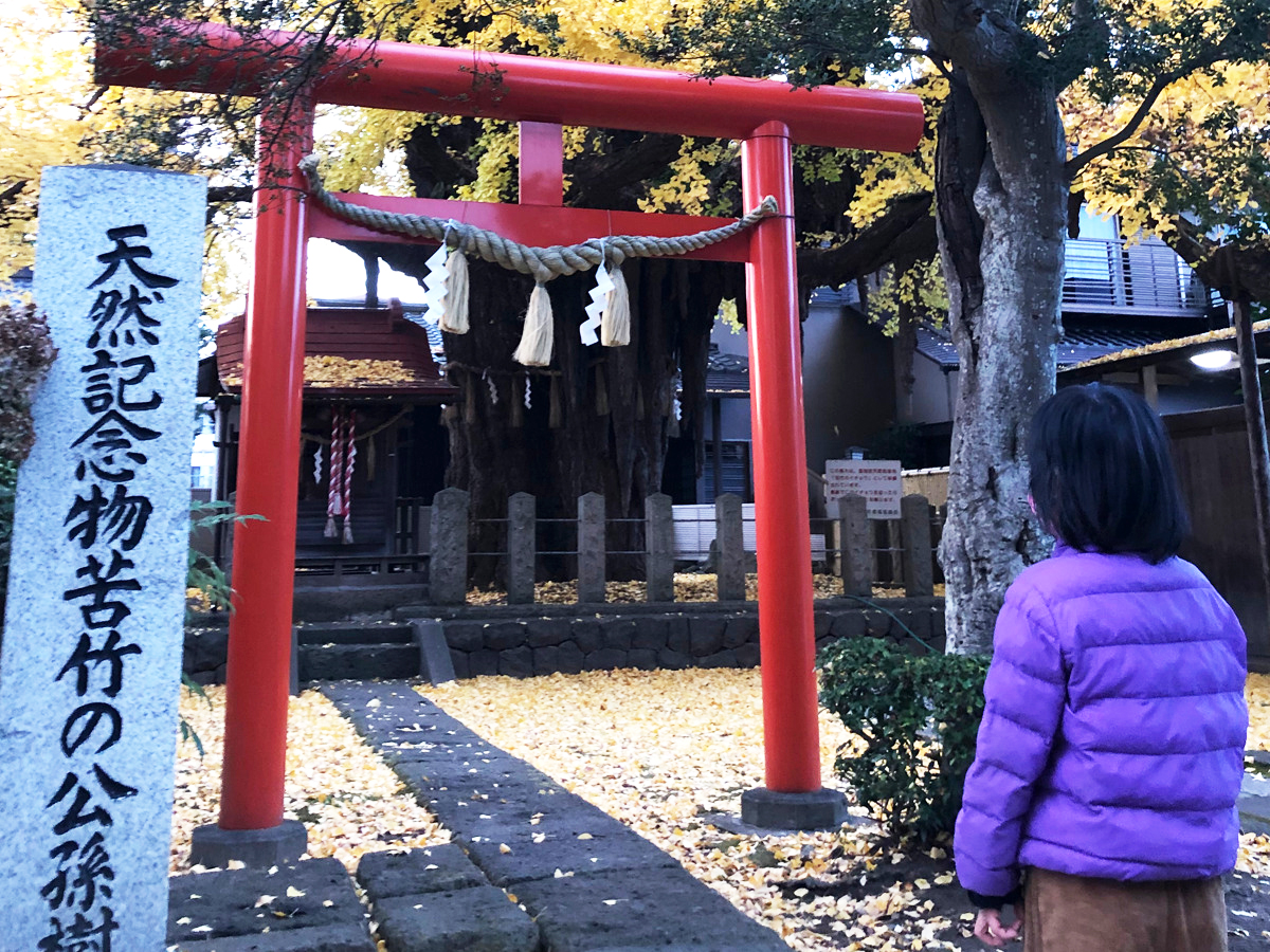 自然との対話で命の大切さを知る