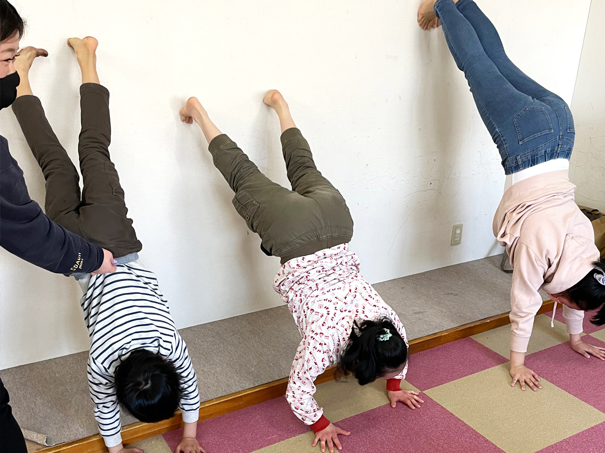 多彩なプログラム