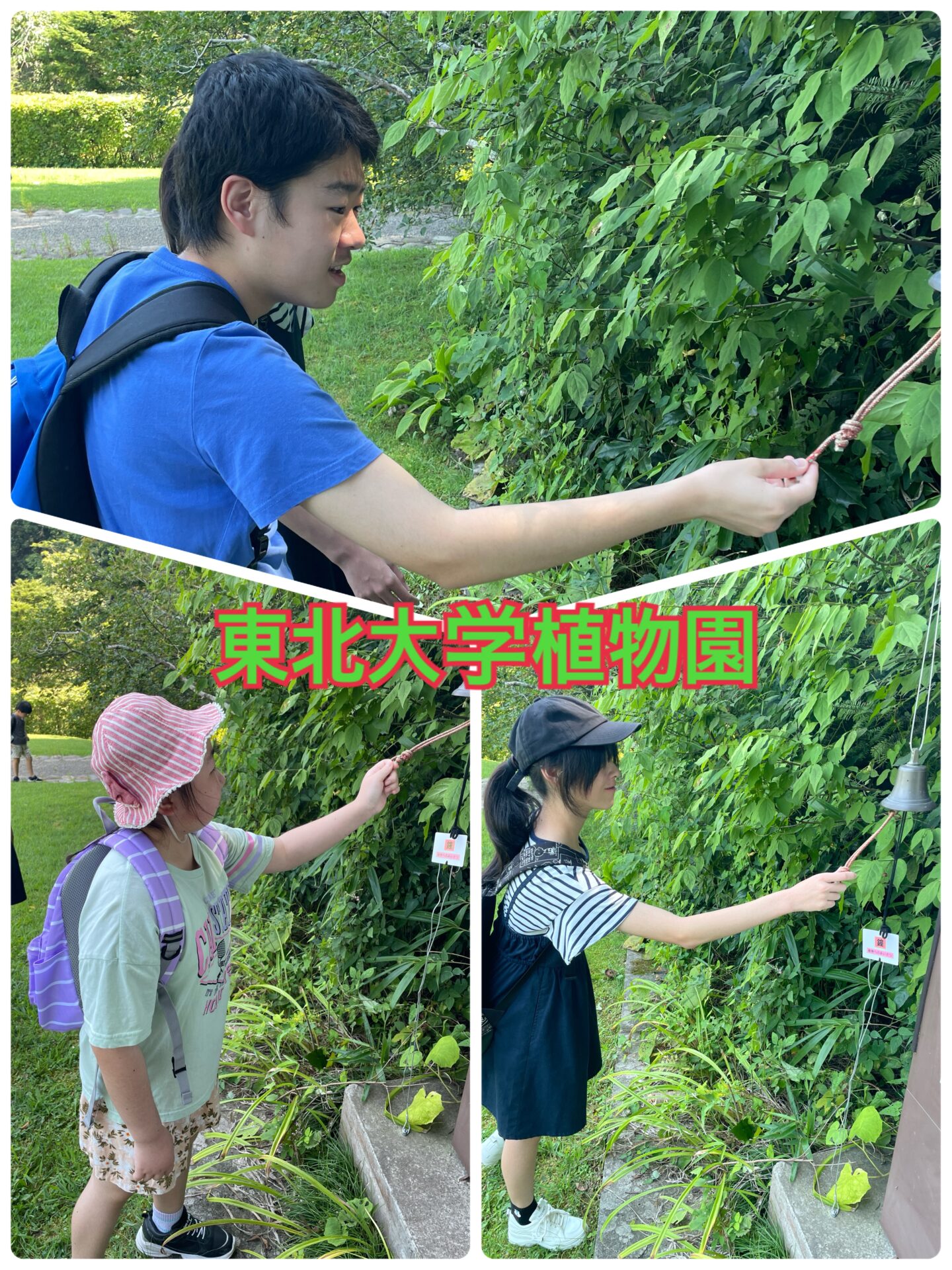 植物園