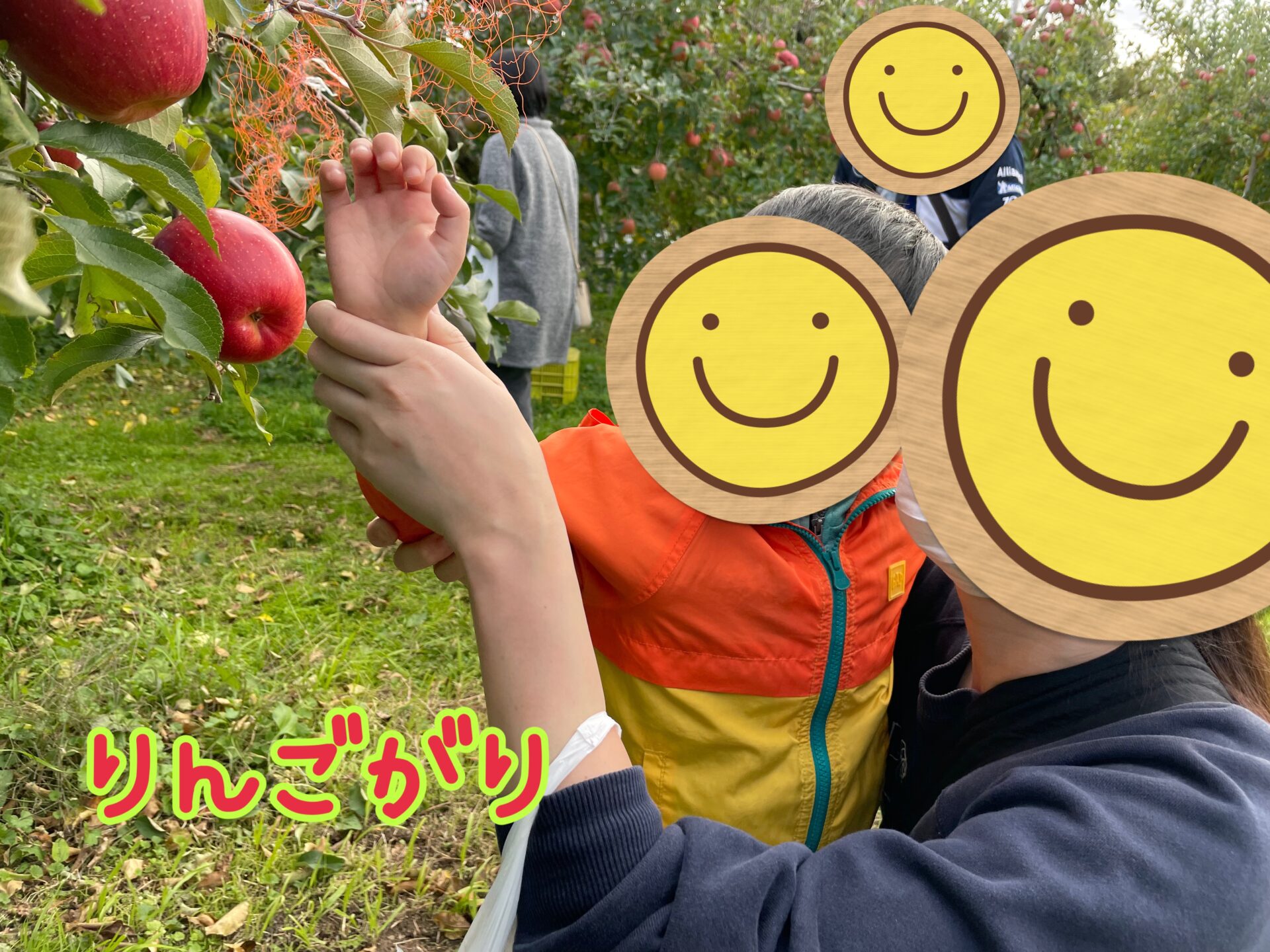 りんご狩りに行ってきたよ！