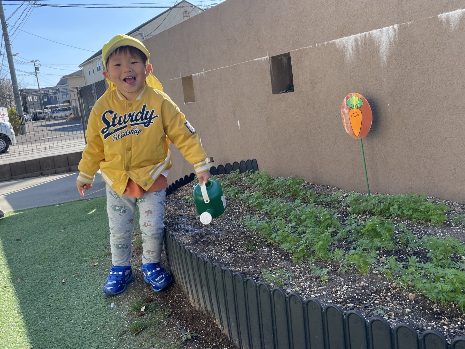 冬野菜栽培中🎵