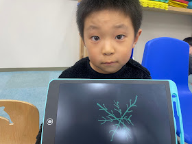 ゆきのけっしょう