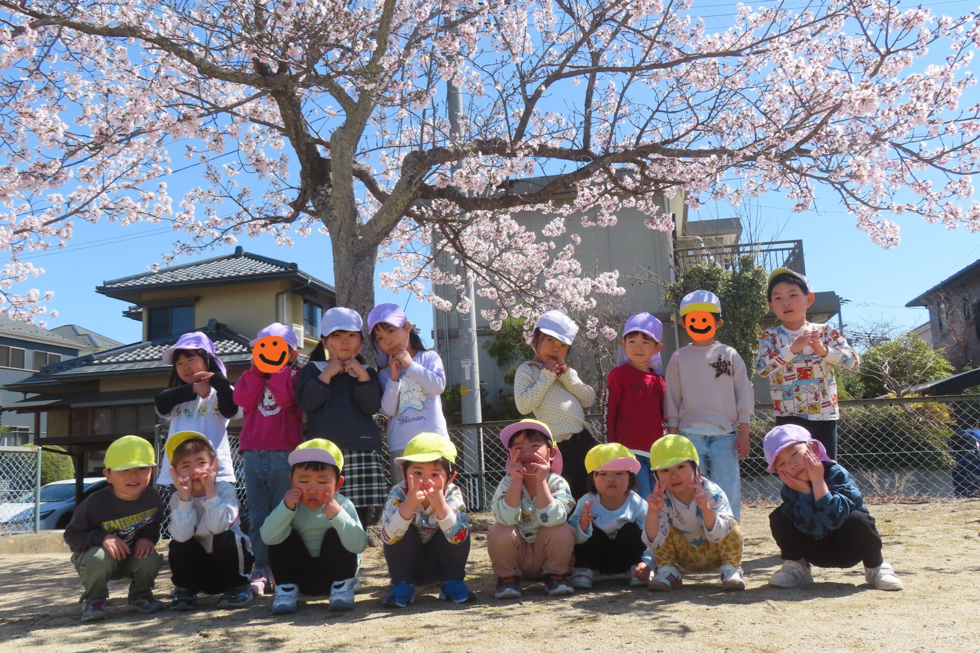 桜が満開です🌸